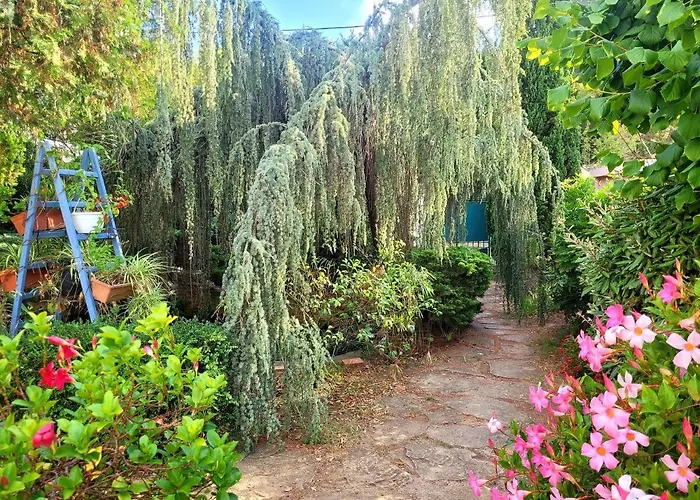 Nyaraló ***maison De 38m² -400m Plage- Avec Jardin***