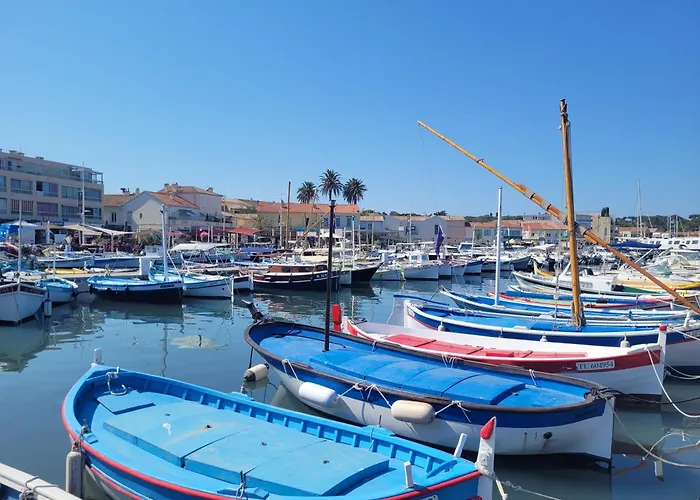 ***maison De 38m² -400m Plage- Avec Jardin***